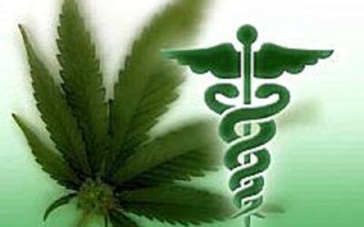 Cannabinoid Research Shows Potential for Treating Autism Spectrum Disorders