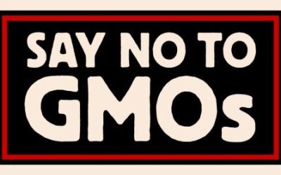 Biopharmaceutical Crops: When GMO Plants Are Engineered to Produce Drugs and Vaccines
