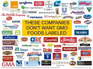 INFOGRAPHIC: Corporations Lobbying Against GMO Labeling