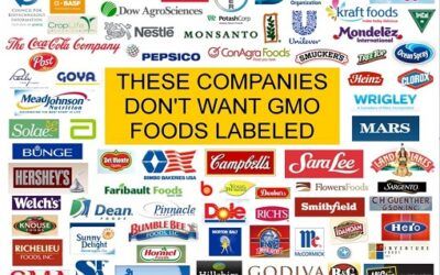 INFOGRAPHIC: Corporations Lobbying Against GMO Labeling