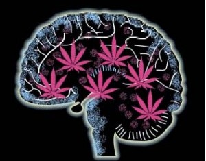 How Cannabinoids May Slow Brain Aging