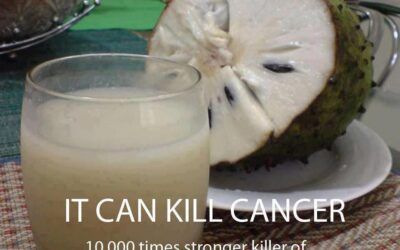 Cancer Killer: Sour Sop Fruit 10,000 Times Stronger Than Chemo-Therapy