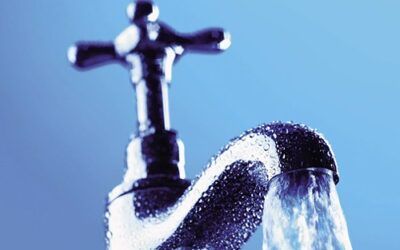 Communities Score Victories Against Water Fluoridation Across North America