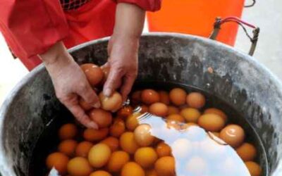 Chinese Delicacy: Boiled Eggs Soaked in Virgin Boy Urine