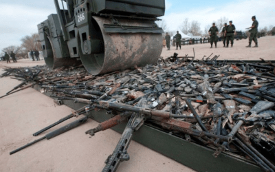 Firearms Confiscation History: How Disarmament Enabled Genocide