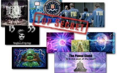 January 17, 2013 – Decrypted Matrix Radio: Beast1333’s Mad World, FBI Secrets Techniques, NWO Downfall, Energy & Vibrations, Pineal Gland & Cannabis, Quick News Updates
