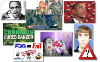 February 12, 2013 – Decrypted Matrix Radio: Remembering MalcomX, Chris Dorner Dead, Adam Lanza WHO, Cannabis Cancer, Aspartame History, Obama Killing With Drones
