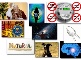 February 15, 2013 – Decrypted Matrix Radio: No Smart Meters, Pineal Gland Health, Spiritual Habits, Pope Resigns, Awareness Conference