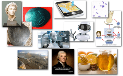 March 28, 2013 – Decrypted Matrix Radio: Robot Service, Location Data Exploited, Mind Control Parasite, Central Bank Warnings, Alien Artifacts, Raw Honey Benefits