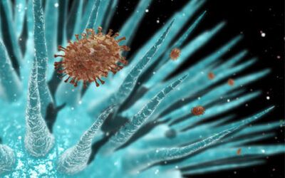 FDA Approves Flublok, First Flu Vaccine Made With Recombinant Insect Cell Proteins