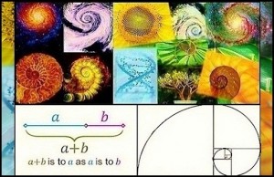 Visual representation of the golden ratio spiral and Fibonacci sequence