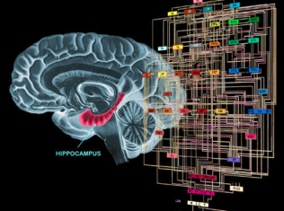 Billion Dollar Race: Soviet Union vs US in ‘Mind Control Research’