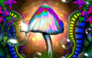 magic-shrooms