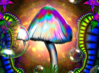 How Magic Mushrooms Alter The Mind Like Dreaming