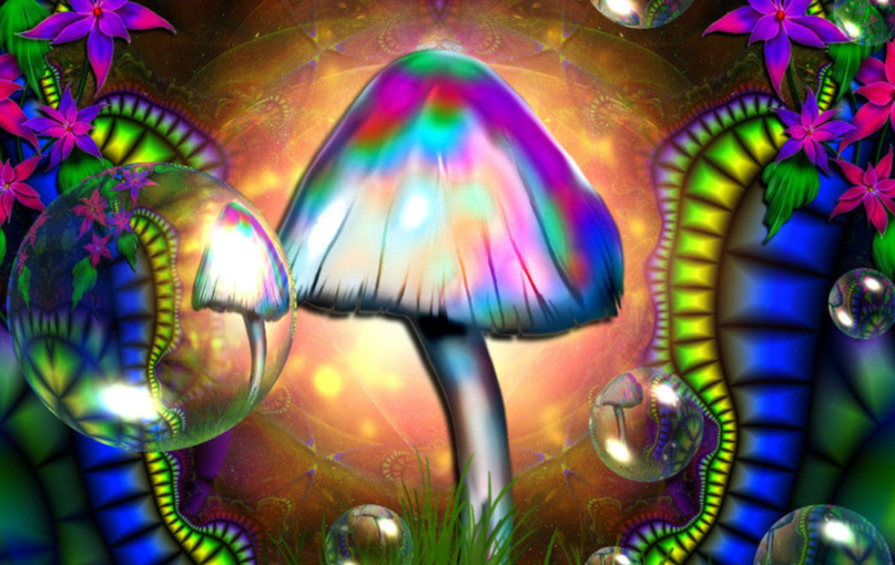 How Magic Mushrooms Alter The Mind Like Dreaming