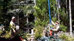 Paramilitary contractors raiding cannabis crops in Mendocino California