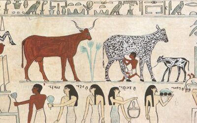 The Exorphin Hypothesis: How Psychoactive Properties of Grain May Explain the Origins of Agriculture