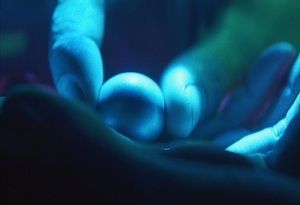 starman-orb-ufo-et-hollywood