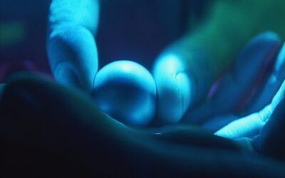 Challenging Notions of Extraterrestrial Life