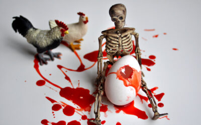 Factory Farming: Top Documentaries Take Hard Look