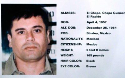 El Chapo 2015 Prison Escape: How Institutional Complicity Enabled His Departure
